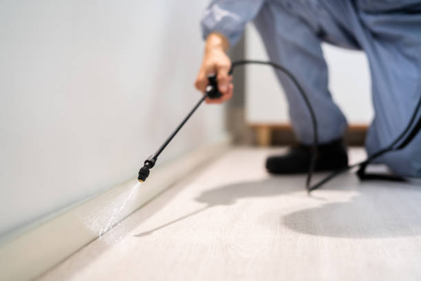 Licensed Cockroach Control service in Starkville, MS - Nex Pest Control