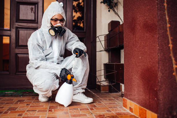 Reliable Cockroach Control contractor in Starkville, MS by Nex Pest Control